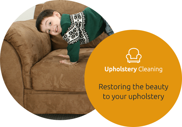 Upholstery Cleaning