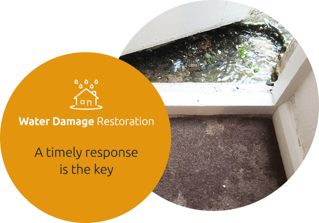 Water Damage Restoration